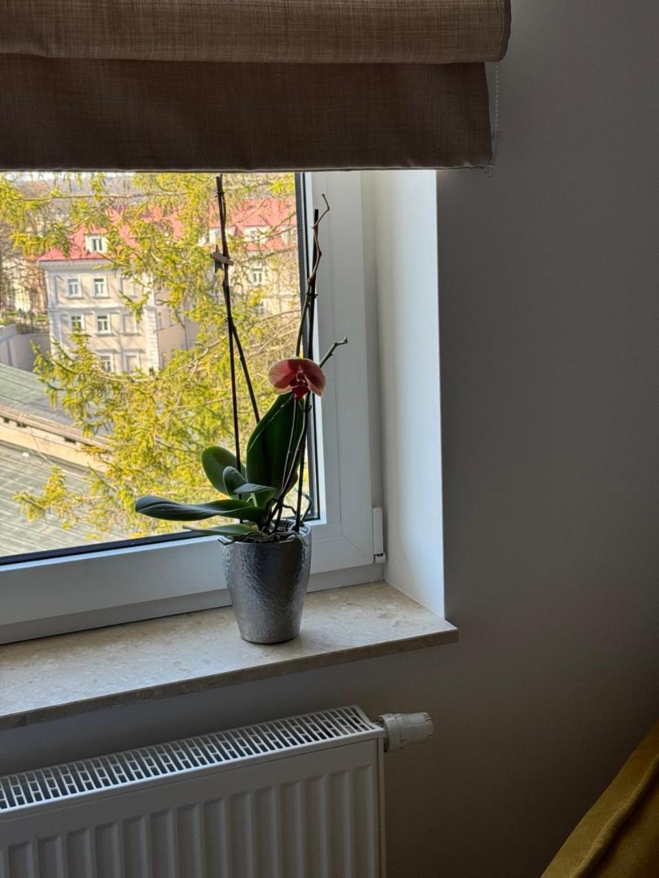 Julia Premium * Przemyśl